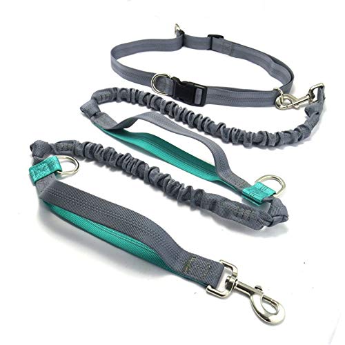 DC CLOUD Hundeleine Kleine Hund Hundeleine Große Hunde Hand Free Dog Walking Belt Hundegürtel Hundeleine bequem Leine für große Hunde Hundegürtel green1 von DC CLOUD