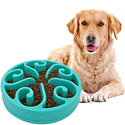 DC CLOUD Katzennapf Anti Schling Napf Katzen Hundenäpfe Medium Große Hundenapf Ungiftige Puzzle Bowl Anti Gulp Hundenapf Hund Puzzle Feeder Light Blue von DC CLOUD