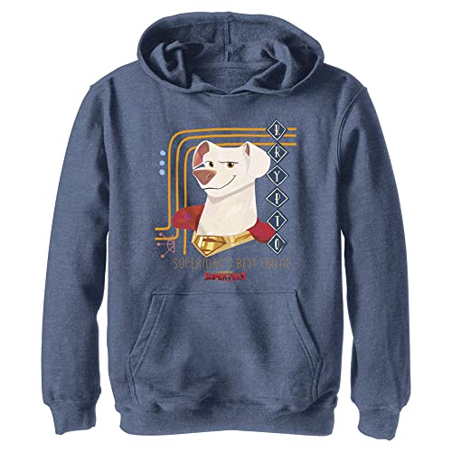 DC Comics Kinder Dc Super Pets Krypto Doggy Youth Pullover Hoodie, Marineblau meliert, X-Large von DC Comics