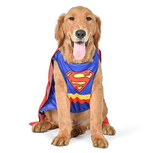 DC Comics Superheld Superman Halloween Hund Kostüm - Groß - | DC Superheld Halloween Kostüme für Hunde, lustige Hundekostüme | Offiziell Lizenziertes DC Hund Halloween Kostüm von DC Comics