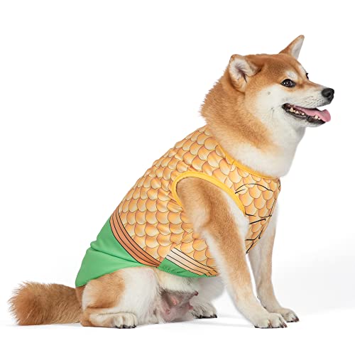 DC Superheld Aquaman Halloween Kostüm für Hunde – extra groß | DC Superheld Halloween Kostüme für Hunde, lustige Hundekostüme | offiziell Lizenziertes DC Hund Halloween Kostüm von DC Comics