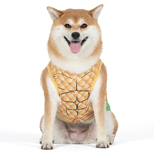 DC Superheld Aquaman Halloween Kostüm für Hunde - Medium| DC Superheld Halloween Kostüme für Hunde, lustige Hundekostüme | Offiziell Lizenziertes DC Hund Halloween Kostüm von DC Comics