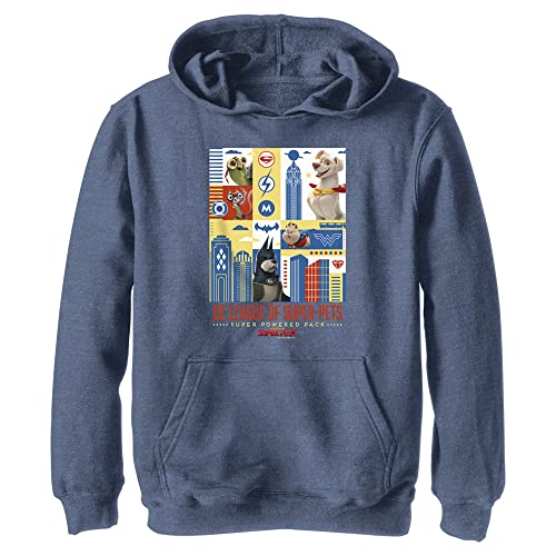 Warner Brothers DC Super Pets Pets Cover Youth Pullover Hoodie Navy Blue Heather, Marineblau meliert, Medium von DC Comics