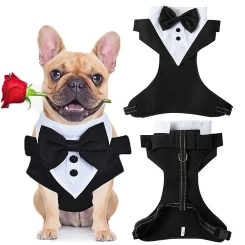 DCNIYT Suit and Gown Hundegeschirr, 120 cm, für den Außenbereich, Katzen- und Hundegeschirr und Leine, wasserdicht, Weste, Brustgurt, Kätzchen, AC (Größe L: von DCNIYT