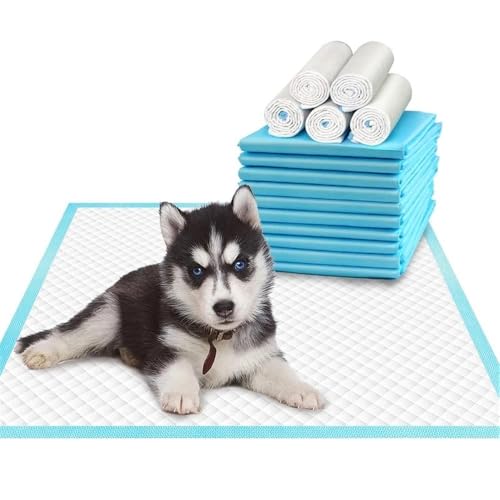 Super saugfähige Haustierwindel, Hundetraining, Urinierunterlage, Einweg-Windelmatte für Katzen, Hundewindeln, schnell trocknende Oberfläche (x 1,33 x 45 cm) von DCNIYT