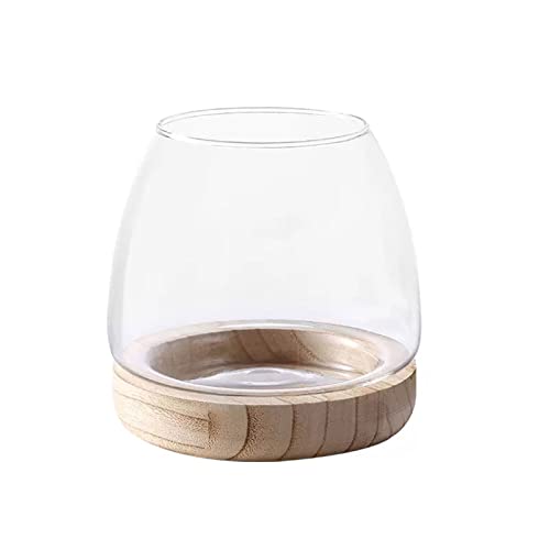 DCQRY Klarglas Bubble Bowl Glas Pflanzgefäß Hydrokultur-Pflanzenvase mit abnehmbarem Holzsockel Einzigartige Aquarien Glas Terrarium Behälter Topf für Pflanzen Haus Garten Dekor von DCQRY