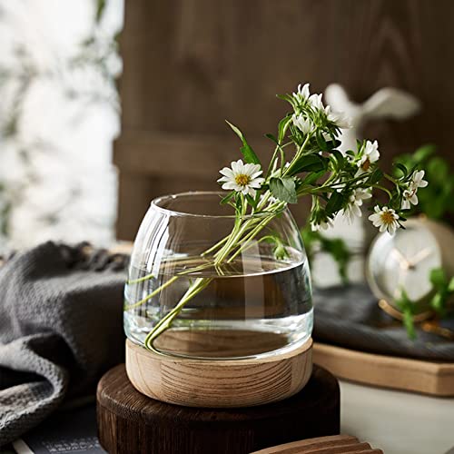 DCQRY Klarglas Bubble Bowl Glas Pflanzgefäß Hydrokultur-Pflanzenvase mit abnehmbarem Holzsockel Einzigartige Aquarien Glas Terrarium Behälter Topf für Pflanzen Haus Garten Dekor von DCQRY