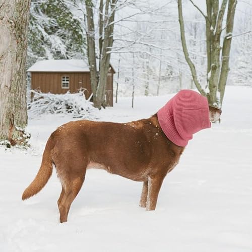 DDFS Hunde-Stirnband, Geräuschunterdrückung, Ohrenschützer, Kompression, keine Klappe, Ohrenschützer für Hunde, Weinrot, Größe L von DDFS