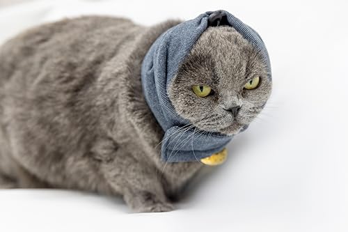 DDFS Hämatom-Ohrwickel für Katzen, ohne Klappe, Ohrwickel, Angst- und Stressabbau, Ohrenklappen-Wickel-Kapuzenpullover für Katzen-Operationen, Erholung, Grau, Größe S von DDFS