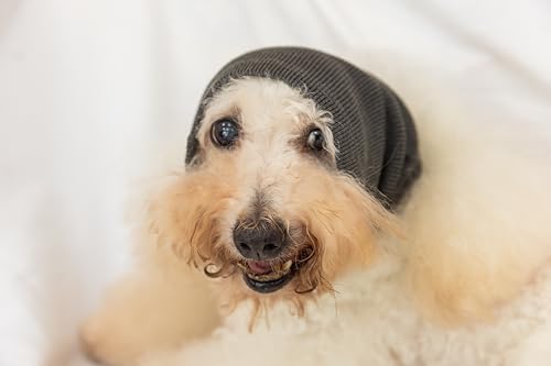 DDFS Hundeohrenschützer mit Geräuschunterdrückung, keine Klappe, Hundeohrenschützer für Hunde, Hoodie, Wickeln, leise, Kopfhörer für Hunde, Grau, M von DDFS