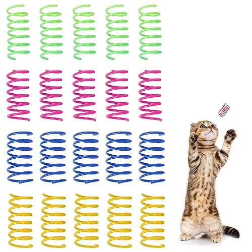 DDKY 20 Teile katzenspielzeug,Katzen Spielzeug,Spielzeug Katze,spirale Spielzeug,katzenspielzeug spirale, viel Spaß beim Spielen, geeignet für Haustiere zum Spielen von DDKY