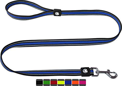 DDOXX Reflektierende Airmesh Hundeleine - 120 cm, Training Führleine Hund mit gepolsterter Handschlaufe für alle Hundegrößen - M (Blau) von DDOXX