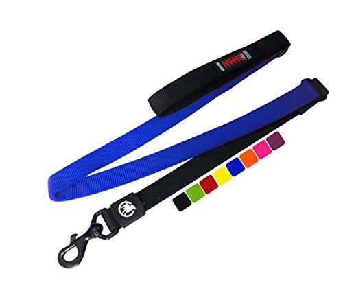 DDOXX Hundeleine Bungee Nylon 120 cm | viele Farben & Größen | für kleine & große Hunde | Elastische Leine Hund groß | Ruckdämpfer Hunde-Leinen klein | Flexi-Leine | Führleine | Blau, 1,20 m von DDOXX