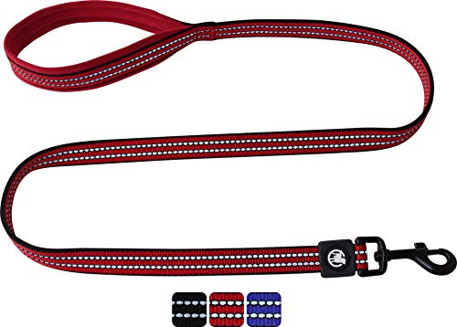 DDOXX Reflektierende Nylon Hundeleine - 120 cm, Training Führleine Hund mit gepolsterter Handschlaufe für alle Hundegrößen - L (Rot) von DDOXX