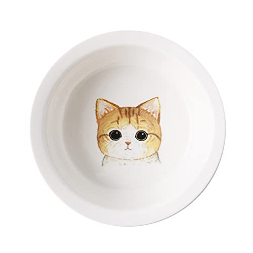 Keramik Welpe Katze Hund Hundeschüssel Einzelne und doppelte Lebensmittelschüssel zum Essen und Trinken mit Holzrahmen Haustiere liefert Durable (Color : Yellow cat) von DDSP