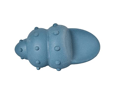 DDTNW Ball mit einer kostenlosen Glocke, Molar Vent Vocal Teething, Stimulation & Training | TRP-Material | Zubehör für kleine, mittelgroße und große Welpen & Erwachsene, blau, Muschel von DDTNW