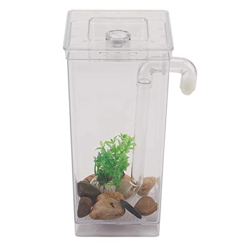 DEARBORN LED-Mini-Aquarium-Reinigung, praktischer Schreibtisch, Aquarium für Büro von DEARBORN