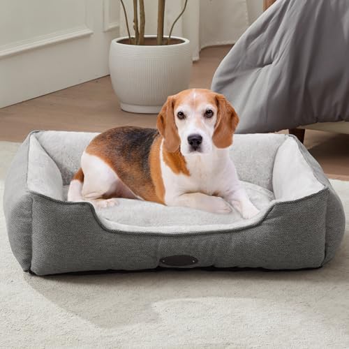 DEBANG HOME Hundebett für mittelgroße Hunde, Katzenbett, beruhigendes Hundebett, bequem, langlebig, mit wendbarem und waschbarem Kissen, Grau (L, Grau) von DEBANG HOME