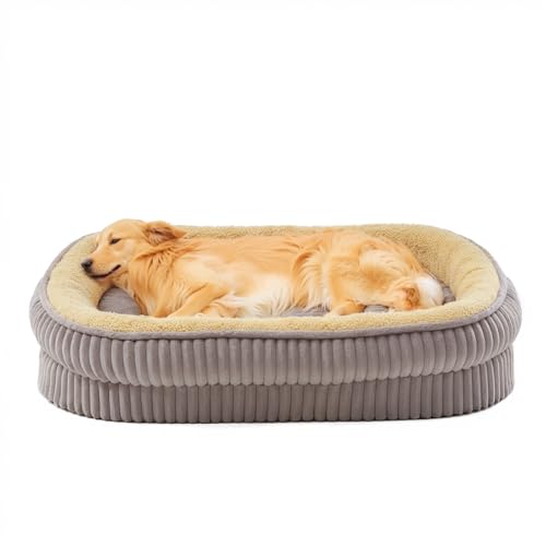 DEBANG HOME Orthopädisches Hundebett für Welpen, kleine Hunderassen, hochdichtes Schaumstoff-Hundesofa, ovale Katzenbetten, Haustier-Couch-Bett mit vierseitiger Nackenrolle, abnehmbarem, waschbarem von DEBANG HOME