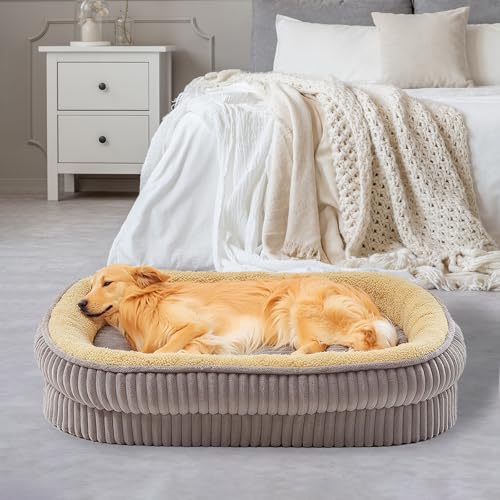 DEBANG HOME Orthopädisches Hundebett für mittelgroße Hunderassen, hochdichtes Schaumstoff-Hundesofa, ovales Hundebett, Haustier-Couch-Bett mit vierseitiger Nackenrolle, abnehmbarem, waschbarem Bezug von DEBANG HOME