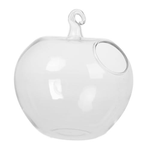 DECHOUS Mikrolandschafts-apfel-aquarium Ornament-präsentationsständer Terrarium Bausatz Selber Machen Sukkulenten-terrarium-kit Hängendes Fischglas Transparent Metall von DECHOUS