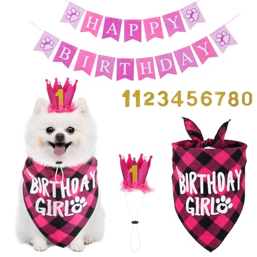 DECOMELODY 1 Satz Haustier Geburtstag Anzug Hund Geburtstagsoutfit Mädchen Geburtstag des Welpen Hundegeburtstags-Shirt Hunde-Outfit Zum Geburtstag Hundekrone Hundepartyhüte Polyester Rosa von DECOMELODY