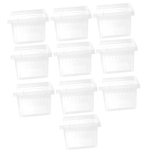 DECOMELODY 10 Stück Schachtel Futterbox Für Reptilien Schildkröte Klare Behälter Zum Füttern Klare Terrarien Kleines Aquarium Spinnen-Terrarium Gehege Für Stabheuschrecken Transparent Plastik von DECOMELODY