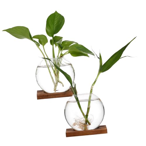 DECOMELODY 2 Stück Kreative Vase Pflanzenterrarium Anzuchtvasen Für Pflanzen Terrariumgefäß Verschiedene Behälter Goldbehälter Terrariengefäße Wandvasen Für Blumen Transparentes Glas von DECOMELODY