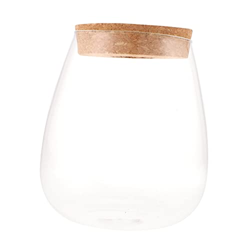 DECOMELODY Flasche Fallen Lassen klare Vase Terrarienglas klarer Blumentopf Indoor Plants zimmerpflanzen stieltopf blumrntopf Landschaftsflasche selber Machen Mikrolandschaftsflasche Holz von DECOMELODY