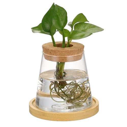 DECOMELODY Hydroponische Vase Innenvase Sämaschinenvase Tischvase Dekorative Vase Deckelvase Ökologische Vase Aquariumvase Hydroponische Behältervase Wurzelvase Bürovase Transparent Glas von DECOMELODY