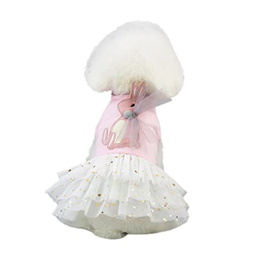 DECOMELODY Modisches Tutu-Kleid Für Hunde Haustierrock Kleidung Für Reisen Und Partys Outdoor-Kleidung Für Hunde Größe Xs von DECOMELODY