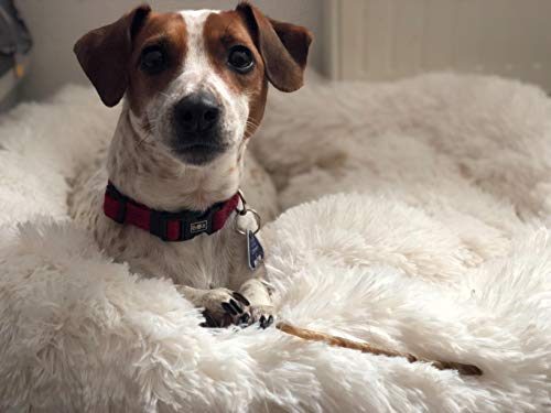 DEEN Kuschelig Katzenbett Haustier Schlafplatz Flauschig Rund Katzenbettchen Waschbar Hundebett Welpen Kissen Bezug Hundematratze Warm Hundekorb für Katzen Hunde Hündlin, Weiß, 110cm von DEEN