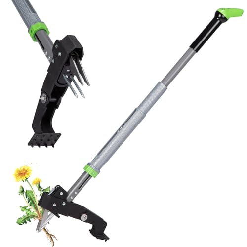 DEERFAMY Unkrautstecher mit verstellbaren Griff 101-117 cm, 4-Krallen-Edelstahl-Unkrautentferner, Verstellbarer Unkrautjäter Löwenzahn-Wurzelentferner Geeignet für Garten und Rasen von DEERFAMY