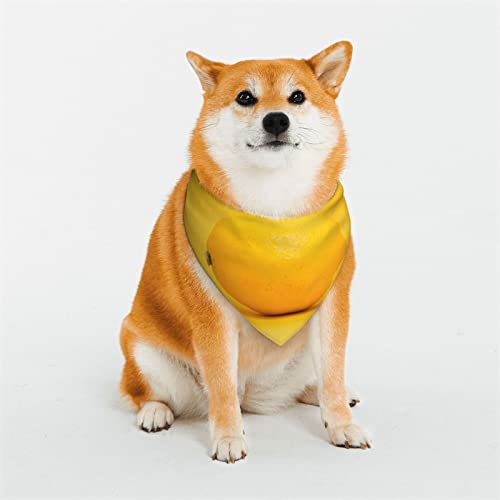 Hundehalstuch, Zitronengelb auf gelbem Hintergrund, weich, wendbar, dreieckig, waschbar, verstellbar, Sommertuch für kleine bis große Hunde von DEHIWI