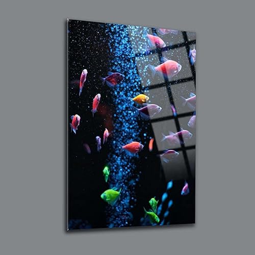 Aquarium-Wanddekoration, Glas, rahmenlos, schwimmend, gehärtetes Glas, Dekoration für Wohnzimmer, 30 x 45 cm (B x H) von DEKADRON