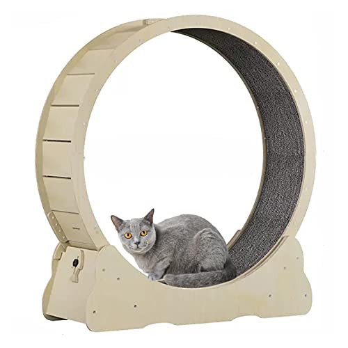 Großes Katzenlaufband mit Teppichboden, Wooedn Cat-Laufrad, rundes Fitnessgerät zur Gewichtsreduktion, natürliche Holzfarbe, 4 Größenoptionen verfügbar (Size : L) von DELURA