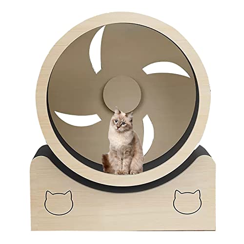 Katzen-Übungsrad im Radstil, Gewichtsverlustgerät for kleine Katzen mit Teppichlaufbahn, Indoor-Katzen-Spin-Sportspielzeug, nahtloses Design, Keine Montage von DELURA