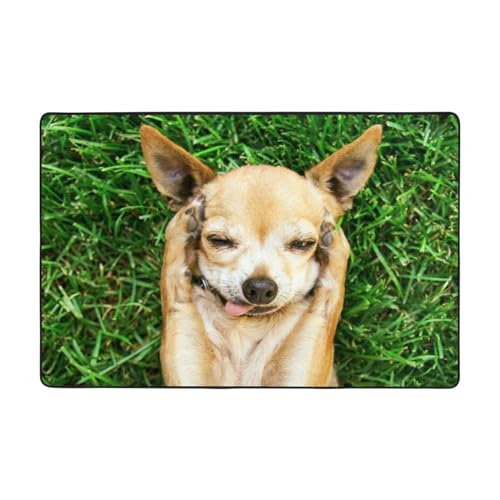 DENMER Schaffen Sie eine warme und einladende Atmosphäre mit unserem weichen Chihuahua-Hundeteppich, 91,4 x 61 cm und 183,9 x 121,9 cm, perfekt für jeden Raum von DENMER