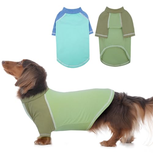 DENTRUN 2 Stück Hundeshirt Hunde Pullover Hund Sommer Weste Hundekleidung für kleine Hund Welpen Pyjama Weiche Kurzarm Doggy Tuch Mode Bekleidung Kleidung für Hunde Welpen Katzen von DENTRUN