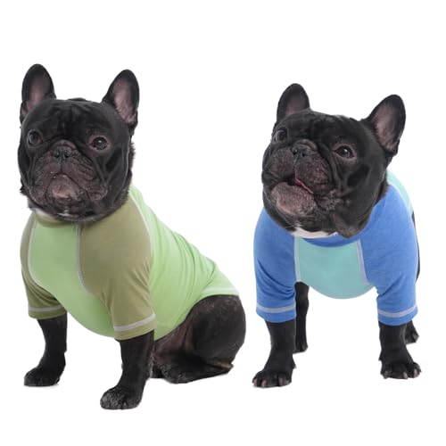 DENTRUN 2 Stück Hundeshirt Hunde Pullover Hund Sommer Weste Hundekleidung für kleine Hund Welpen Pyjama Weiche Kurzarm Doggy Tuch Mode Bekleidung Kleidung für Hunde Welpen Katzen von DENTRUN