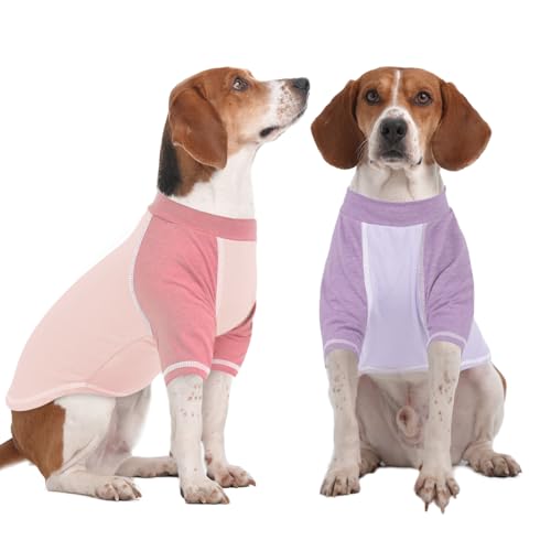 DENTRUN 2 Stück Hundeshirt Hunde Pullover Hund Sommer Weste Hundekleidung für kleine Hund Welpen Pyjama Weiche Kurzarm Doggy Tuch Mode Bekleidung Kleidung für Hunde Welpen Katzen von DENTRUN