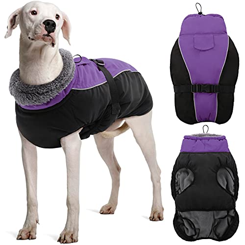 DENTRUN Hundemantel Winter Warme Hundejacke Wasserdicht mit Geschirr für Kleine Mittel Große Hunde Wintermantel Fleece Winterjacke Hundebekleidung Reflektierend von DENTRUN