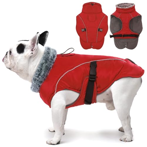 DENTRUN Hundemantel Fleece, Hund Wintermantel, Hundemantel Wasserdicht mit Fleece Gefütterte, Pullover für Hunde, Wintermantel Hund Mittelgroß, Winter Wasserdicht Hundejacke (Rot,M) von DENTRUN