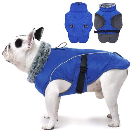 DENTRUN Hundemantel Fleece, Hund Wintermantel, Hundemantel Wasserdicht mit Fleece Gefütterte, Pullover für Hunde, Wintermantel Hund Mittelgroß, Winter Wasserdicht Hundejacke (Blau,M) von DENTRUN