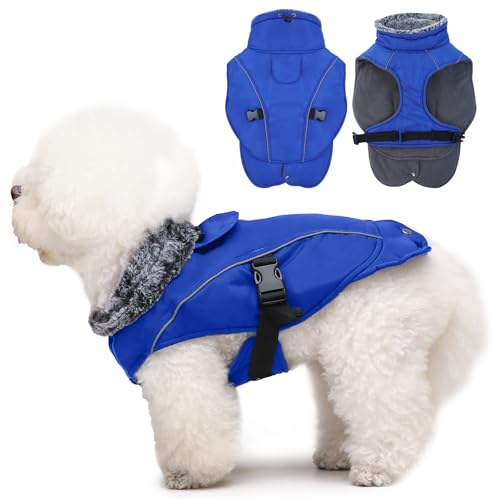 DENTRUN Hundemantel für Kleine Hunde, Hunde Wintermantel, Wintermantel Hund Wasserdicht, Hundejacke mit Leine Loch, Reflektierend Hundejacke, Winddichter Wintermantel(Blau, S) von DENTRUN