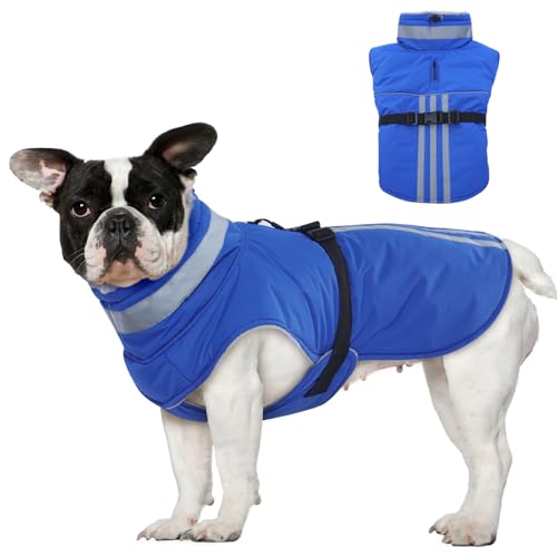 DENTRUN Hundejacke Wasserdicht, hundemantel Fleece, Hundemantel Wasserdicht mit Fleece Gefütterte, Wintermantel Hund Wasserdicht, Reflektierend Hundejacke(Blau.M) von DENTRUN