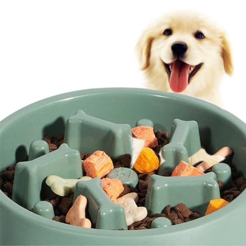 DERDOUT Slow Feed Hundenapf, Anti-Schwellung, Anti-Schlucken, gesunde Ernährungsinteraktion, rutschfester Futternapf für kleine und mittelgroße Hunde, Grün von DERDOUT