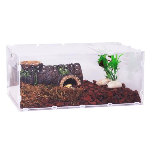 DERNORD Reptilien Acryl Spinnen Terrarium - Acrylbox Vivarium 20x15x35cm Klares Acryl für Springspinnen Tarantula Insekt von DERNORD