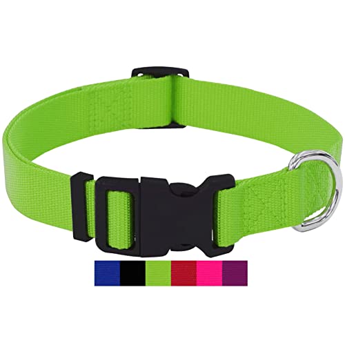 DEY - Premium Hundehalsband Nylon | Verstellbar | für Kleine u. Große Hunde | viele Farben u. Größen | Halsband Hund Katze Welpe | Hunde-Halsbänder | Katzen-Halsband | Welpen-Halsband | Grün, S von DEY