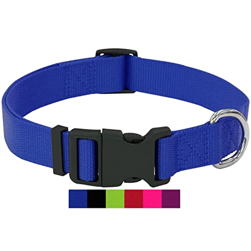 DEY - Premium Hundehalsband Nylon | Verstellbar | für Kleine u. Große Hunde | viele Farben u. Größen | Hund Katze Welpe | Hunde-Halsbänder | Katzen-Halsband | Welpen-Halsband | Blau, L von DEY